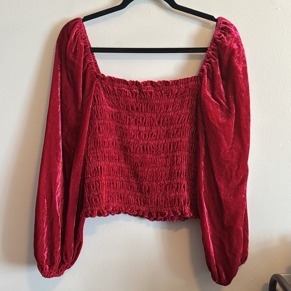 ANTHROPOLOGIE SMOCKED PUFF SLEEVE RASPBERRY VELVET TOP LARGE - Picture 9 of 9